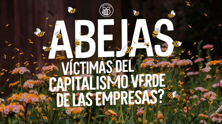 11 «Abejas: ¿víctimas del capitalismo verde o aliadas de las empresas?»